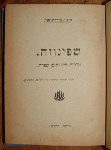 Judío Judaica 1908 Lituania Vilna Libro Hebreo SPINOZA Historia Filosofía - Imagen 1 de 5