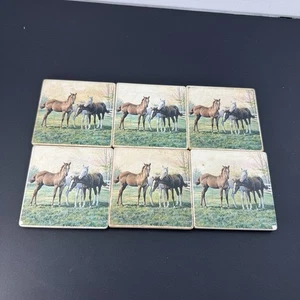 Vintage Stone Horses Equestrian Set of 6 Cork Coasters Lot - Picture 1 of 8