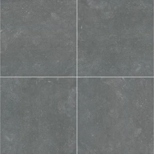 MSI Floor Tile 24" x 24" Indoor Matte Porcelain Paver (2-Pieces/8 sq. ft./Case) - Picture 1 of 8