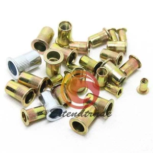 100x Nuevo Acero al Carbono Cabeza Plana Métrica Persiana Remache Tuerca - Imagen 1 de 7