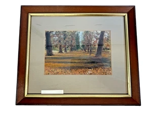 Original Pastel 'Autumn Forrest' Framed Painting - Wooden Frame | E12 G2 - Picture 1 of 11