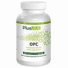 PlusVive - OPC Kapseln - hochdosiert mit 400 mg Traubenkernextrakt pro Kapsel