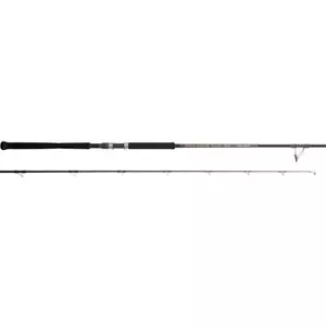 Caña giratoria Tenryu POWER MASTER núcleo pesado PMH100H - Imagen 1 de 1