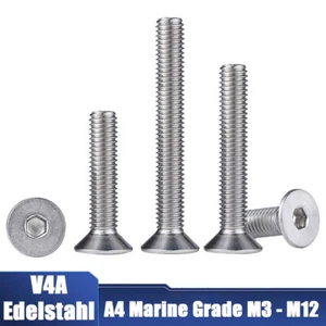 Senkkopfschrauben Edelstahl A4 V4A DIN 7991 Innensechskant M3M4 M5 M6 M8 M10 M12 - Picture 1 of 8