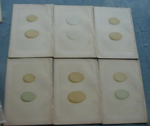 1875 MORRIS SIX (6) PASTEL BIRDS EGG PRINTS, EIDER DUCK, POCHARD, SCAUP etc. - Picture 1 of 3
