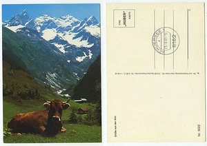 26340 - Kuh - Grüße von der Alm - Ansichtskarte, Stempel: Schliersee 25.8.1981 - Bild 1 von 1