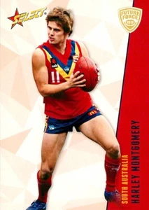 2012 SOUTH AUSTRALIA AFL Card HARLEY MONTGOMERY Future Force - Picture 1 of 2