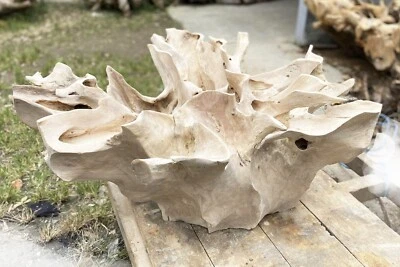 "39" White Ocean Elegant Carved Coffee Table Teak Driftwood - Image 1 of 4