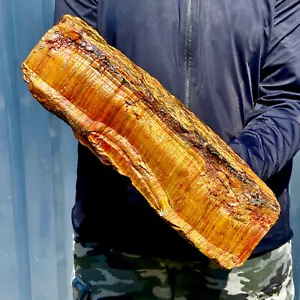 12.6LB Natural tiger's-eye rough raw stone rock specimrn madagescar - Imagen 1 de 11