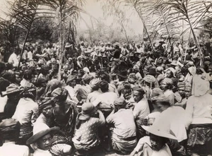 Group gathers around a Cock Fight Java Indonesia 1930 Old Photo - Picture 1 of 1
