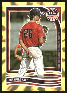 2024 USA Baseball Stars and Stripes Gold Lightning #199 Chandler Hart /10 - Picture 1 of 2