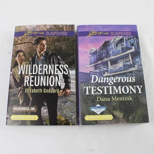 Lot of 2 Harlequin Romance Paperbacks Dangerous Testimony & Wilderness Reunion - Bild 1 von 5