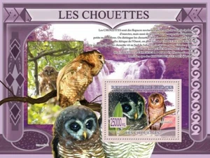 Guinea 2009 MNH - Owls, Strix woodfordi (Scotopelia peli). Mi 6437/BL1667 - Picture 1 of 1