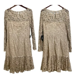 NEW Adrianna Papell Mesh Lace Sheath Dress 10 Beige Flounce hem Long Sleeve - Picture 1 of 24
