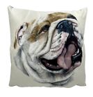 Faux Suede Bulldog Cushion - Bulldog Cushions -Great Gift- 43cmx43cm  D29-CU