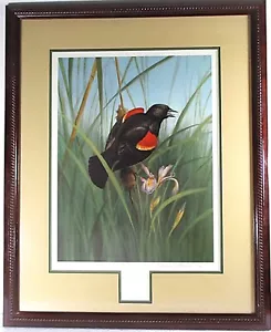 OWEN GROMME M & I ORIG LTD DRUCK, RED WING BLACK BIRD, QUALITÄT GERAHMT MIT COA - Bild 1 von 12