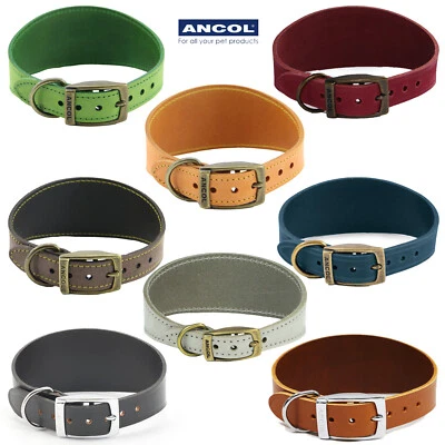 Dog Collar Whippet Greyhound Ancol Lurcher Bridle Leather Timberwolf Heritage - Image 1 of 4