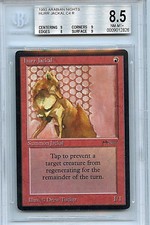MTG Arabian Nights Hurr Jackal BGS 8.5 NM-MT+ 1993 Magic the Gathering WOTC 2826
