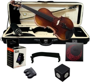 PTVNSH300-4/4 4/4 Violin - Picture 1 of 8