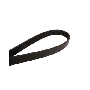 Serpentine Belt-Multi-V Continental OE 4060905 - Bild 1 von 2