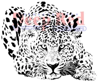 Deep Red Stamps Leopard Rubber Cling Stamp - Image 1 of 3