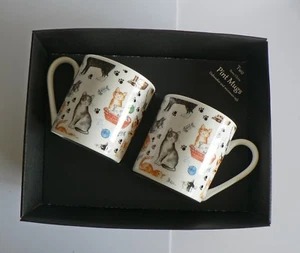 Tazze pinta gatti set di 2 tazze regalo in scatola gatti chintz full pint size tazze regalo in scatola - Foto 1 di 2