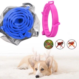 Collar de cuello ajustable antipulgas y garrapatas 8 meses de protección para perro mascota gato Reino Unido - Imagen 1 de 7