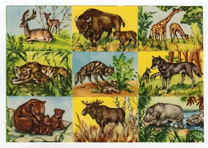 9 chromos anciens les animaux sauvages (2) /RUBdé - Imagen 1 de 2