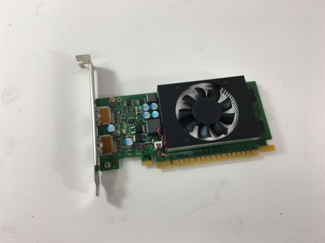 New MQX GeForce GTX 750 4GB OR GeForce GT 730 4GB PCIe Low Profile Video  Card US