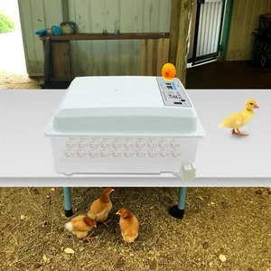 Incubatrice per uova con rotazione automatica delle uova incubatrice per uova di gallina 36 uova - Foto 1 di 20
