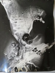 1940er signiertes Arthur Siegel Fotogramm schwarz weiß Geletain Photograph abstrakt - Bild 1 von 11