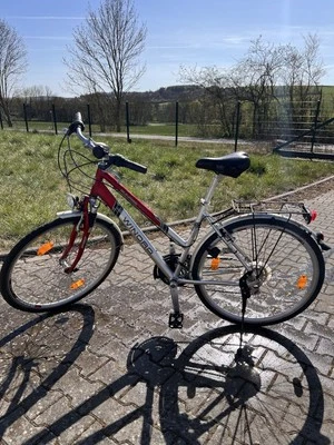 Winora Trekkingrad 28 Zoll – Alurahmen, Nabendynamo, Damenrad - Bild 1 von 3