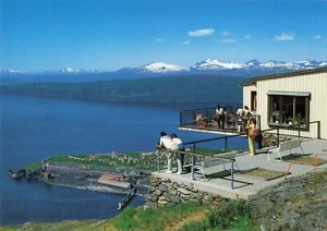Postal de colección Narvik Noruega Montañas Ofotfjorden - Imagen 1 de 2