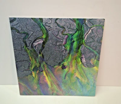 Alt J - An Awesome Wave - Vinyl, LP, Gatefold  ~~~RARE~~~ - Image 1 of 4