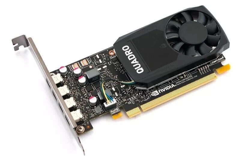 NVidia Quadro P1000 4GB GDDR5 Scheda Video PCI Express 4X Mini DP - Immagine 1 di 1