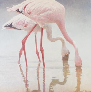Robert Bateman FLAMINGO'S Vintage Wildlife Book Plate Art Print 43 - Picture 1 of 4