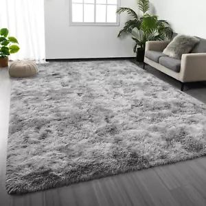Large Shag Area Rugs 6 X 9, Tie-Dyed Plush Fuzzy Rugs for Living Room, Ultra Sof - Picture 1 of 12