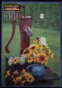 Kodacolor KODAK RoseArt Waterpump DAISIES 550 Piece Puzzle Vintage SEALED - Picture 1 of 5