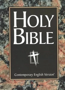 Großdruck leicht lesbare Bibel der American Bible Society (Englisch) Taschenbuch Boo - Bild 1 von 1