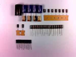 REVOX B226 Lettore CD COMPLETO Set Elko Elkos COMPLETO Recaps Kit ricapping - Foto 1 di 1