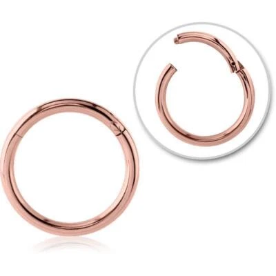 Segmentring Klicker rosegoldbeschichtet Intim Augenbraue Lippe Ohr - Bild 1 von 3