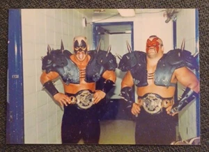 💥1️⃣9️⃣8️⃣0️⃣s Original Road Warriors 3.5x5 Photo NWA WWF AWA WCW ECW Wrestling - Picture 1 of 2