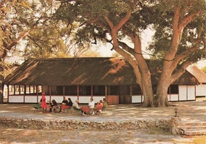 Botswana Africa Khwai River Lodge Vintage Postcard - Bild 1 von 2