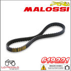 619221 Belt X Special Belt MALOSSI Honda X8R X - X8R S 50 2T