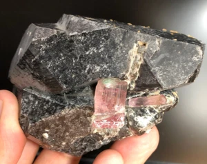 544 Grams Very Nice Quality Tourmaline Crystals Specimen with Quartz Afgha - Picture 1 of 6