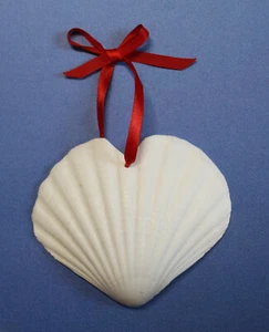 IRISH CUPS, Drilled Hole, Haert Shape Seashells, Craft Supplies SS-453 - Picture 1 of 10