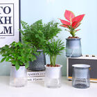 Double-layer Self Watering Plant Pot Transparent Plastic Flower Vase Automat LW❤
