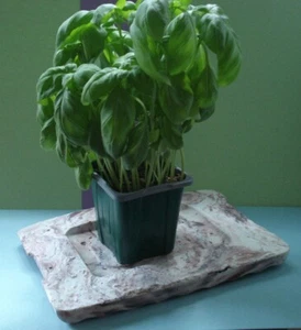 Handmade Concrete Marbled Plant Tray - Picture 1 of 3