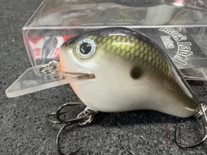 Black Label Balsa - C-1 - Custom Balsa Crankbait - Tennessee Shift Shad Color - Picture 1 of 1
