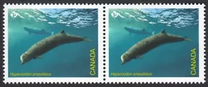 BOTTLENOSE WHALE = Endangered = IDENTICAL Pair from UNCUT Sheet Canada 2022 MNH - Picture 1 of 1